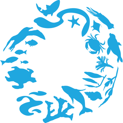 International Coastal Ocean Conservancy What I Have - International Coastal Cleanup Day 2018 (401x399)