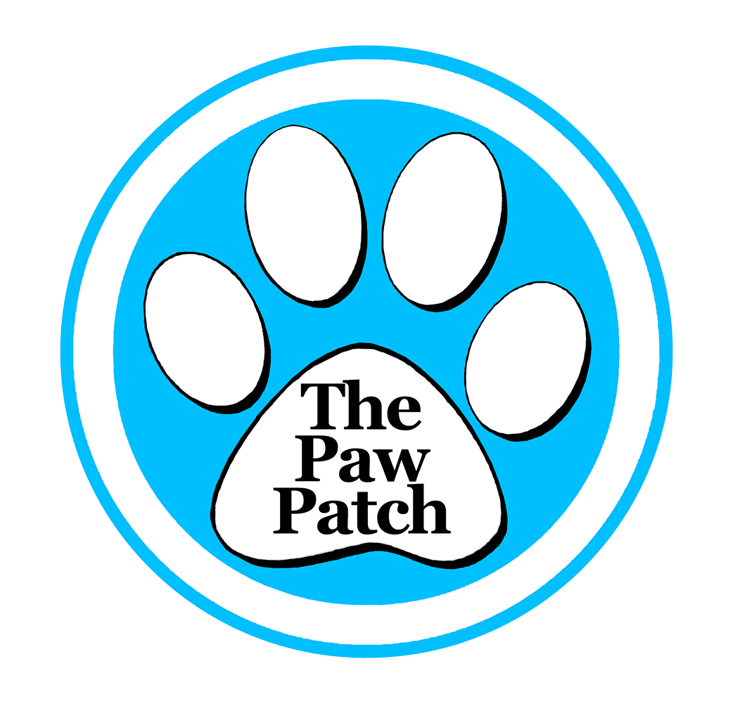 The Paw Patch - Atlanta Digital Studio (1335x1000)