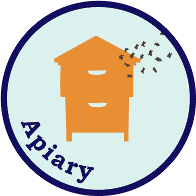 Our Apiary Standards Outline Best Beekeeping Practices - Apiary (417x417)