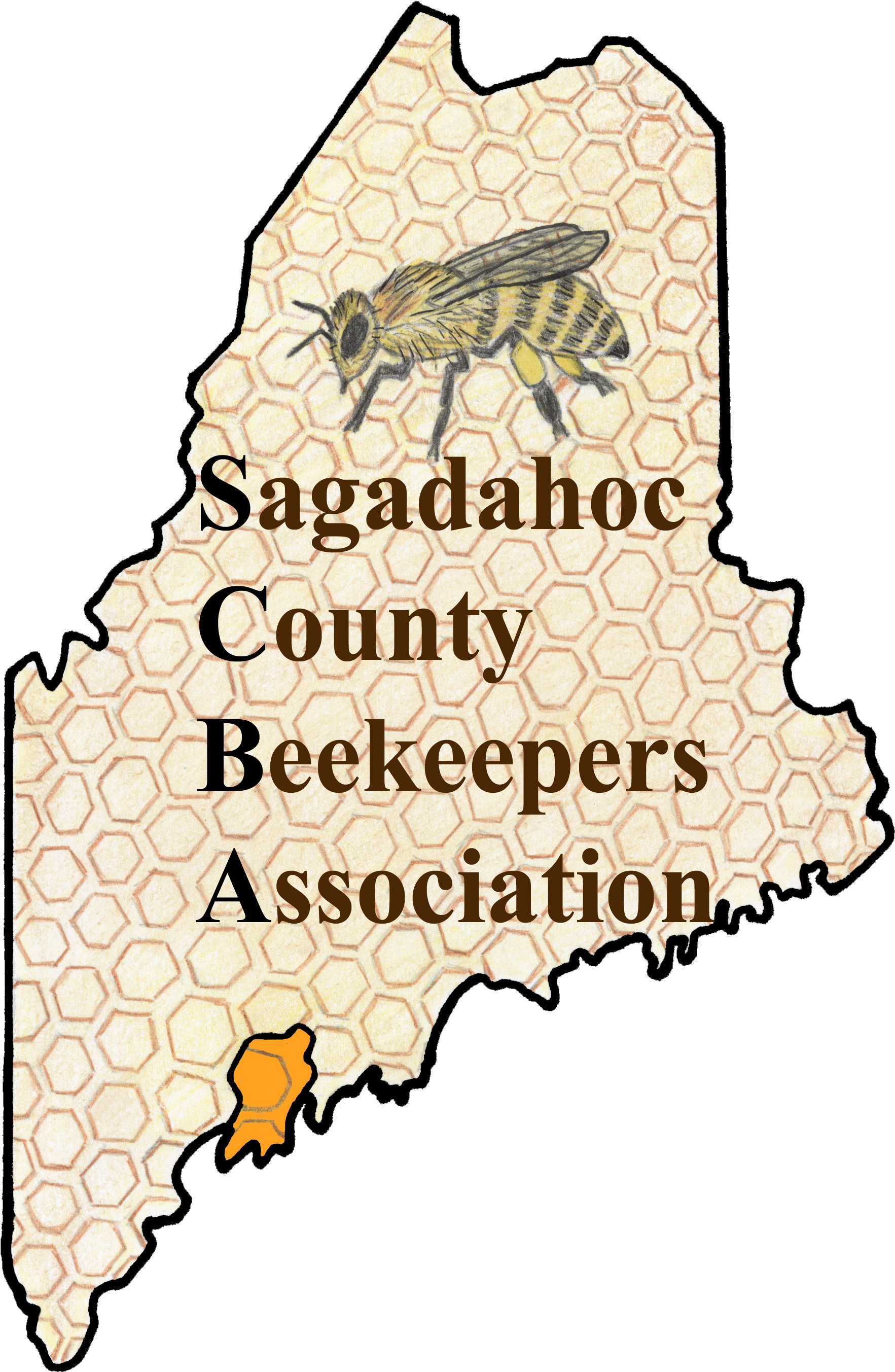 The Sagadahoc County Beekeepers Association Is A Non-profit - Illustration (2099x3045)