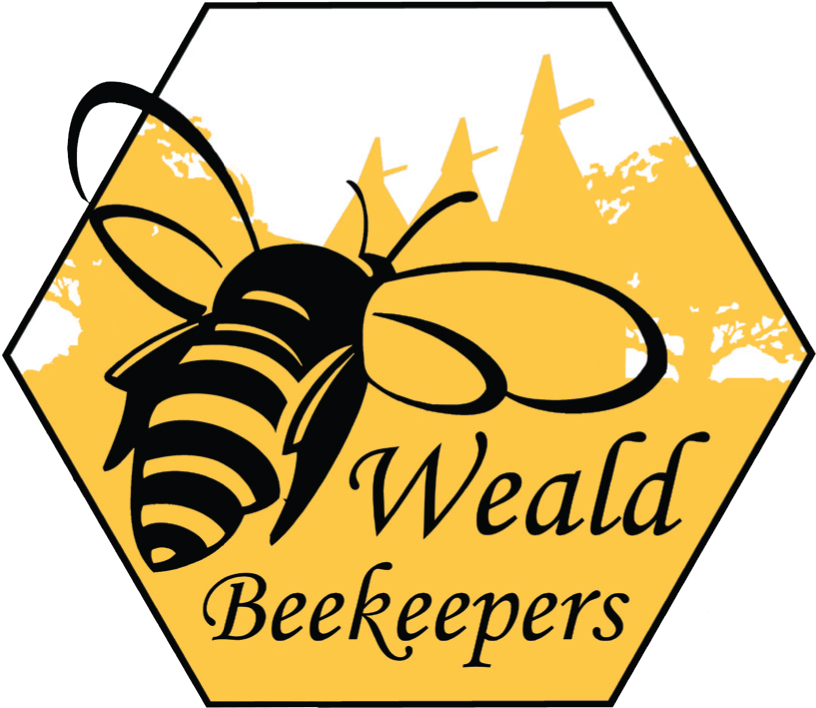 Bee-lieve Greeting Cards (pk Of 10) (831x718)