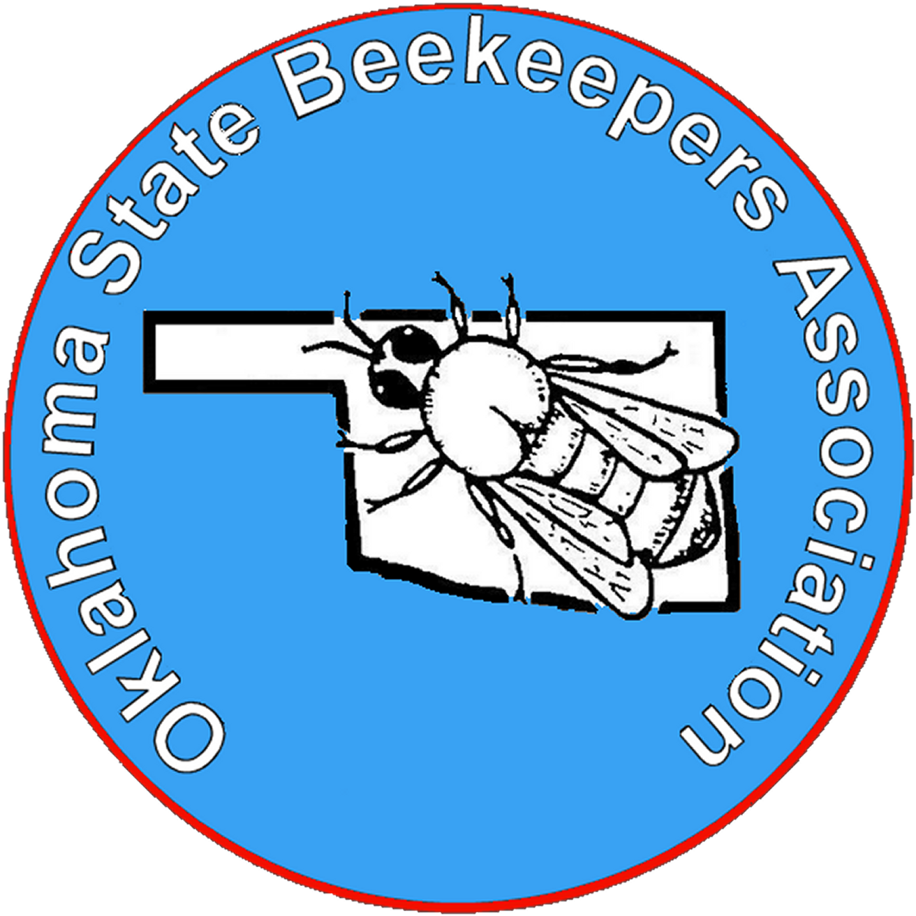 Jew Jitsu (1372x1372)