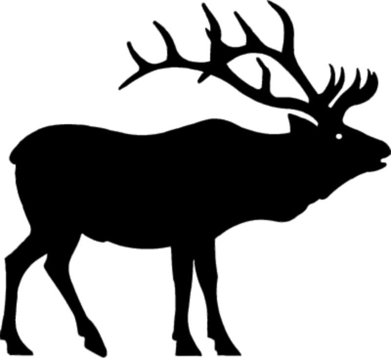 Elk Clipart - Elk Clip Art (800x732)