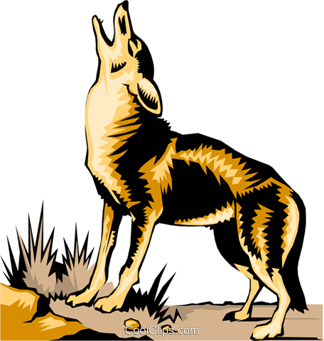Coyote Royalty Free Vector Clip Art Illustration Anim0208 - Coyote Clip Art Transparent Background (456x480)