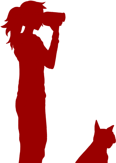 Observations Of Spainish Miracle - Silhouette (1700x1009)