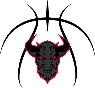 Bison Stumble In Third Quarter, Lose To South Fayette - South Fayette Township (398x369)