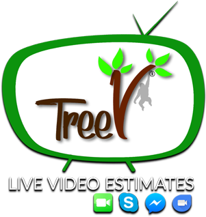 Schedule Your Free Estimate With Treev™ Live Video - Tree (325x450)