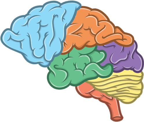 Problem Solving - Broccoli (610x469)