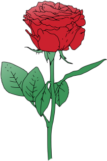 Single Red Rose Vector Rooweb Clipart - Clip Art (344x380)