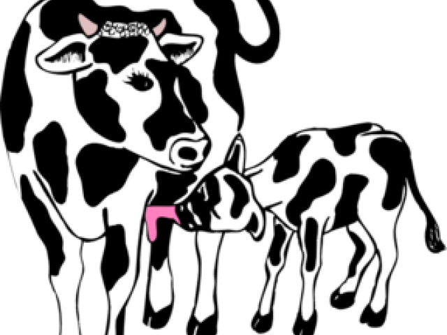 Feet Clipart Cow - Not Your Mama Not Your Milk (640x480)