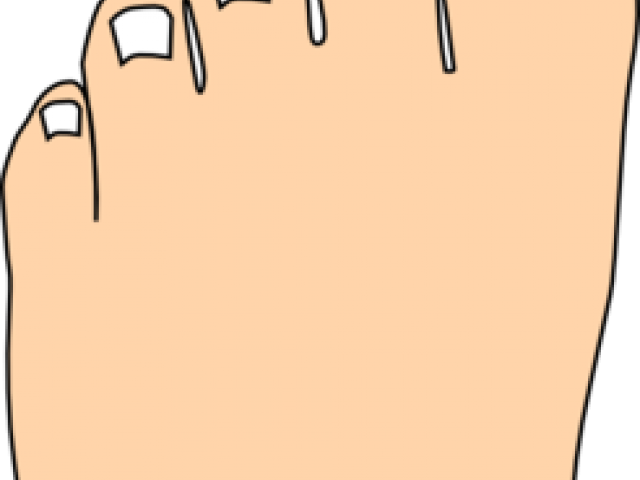 Feet Clipart Toe - Illustration (640x480)