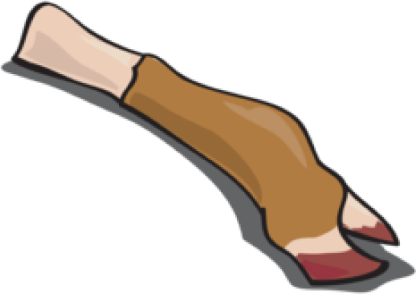 Feet Clipart Cow - Cow Foot Clipart (640x480)