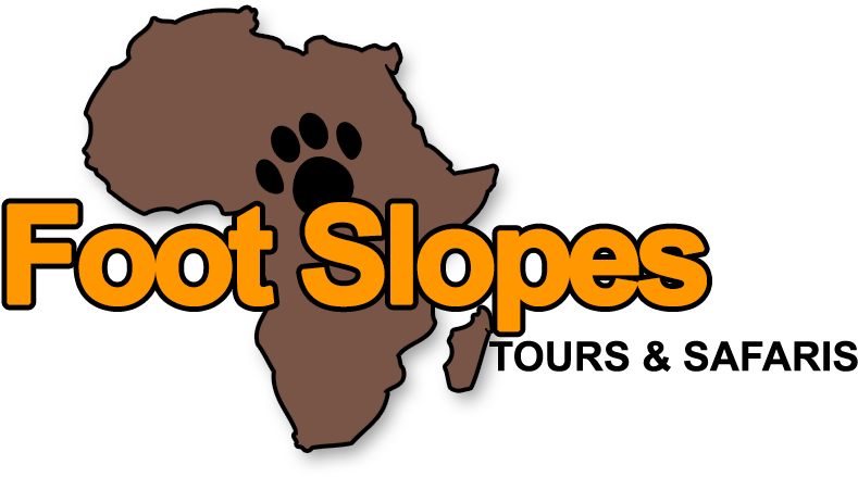 13 Days Wildebeest Migration Safaris - Travels (788x447)
