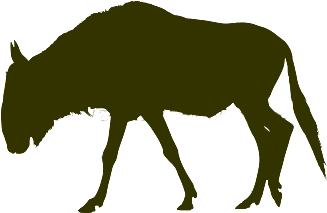 Contact Details - Animal Silhouettes (350x350)