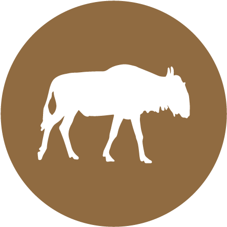Blue Wildebeest - Sticker (500x500)