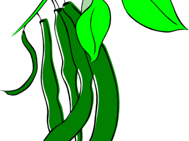 Seeds Clipart Kidney Bean - String Beans Clip Art (640x480)