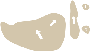 Jan Feb Mar Apr May Jun - Duck (590x641)