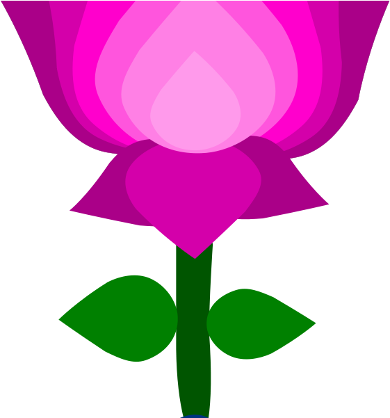 Lotus Images Free Gsagri Pictures - Clip Art Of Lotus Flower (593x600)