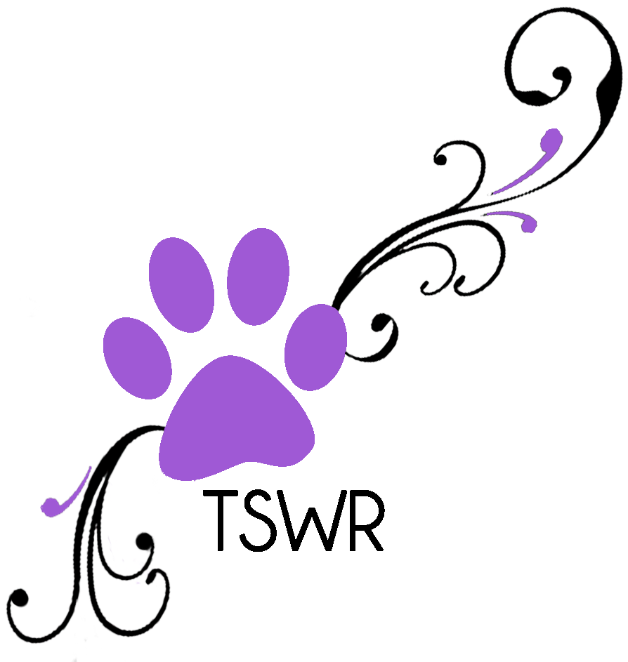 The 30 Day Coverage Plan Ensures The Pets You Adopt - The 30 Day Coverage Plan Ensures The Pets You Adopt (991x963)