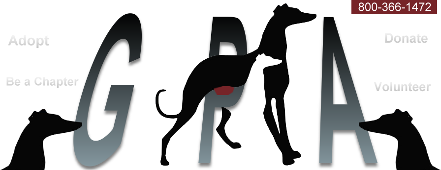 Dogs - Greyhound Pets Of America (896x347)
