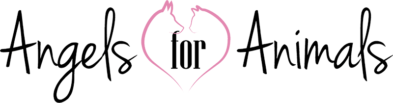 We Are A Team Of Anqels Dedicated To Savinq Animals - Angels For Animal Rescue (800x210)