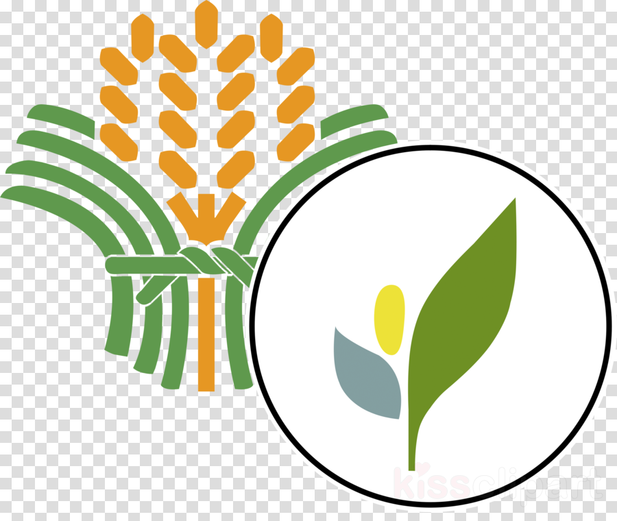 Philippines Department Of Agriculture Clipart Department - Department Of Agriculture Da (900x760)