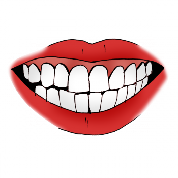 Výsledek Obrázku Pro Zuby Kreslené Montessori, Body - Zuby Kreslené (350x350)