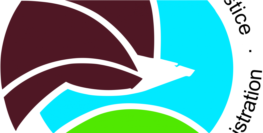 Drug Enforcement Administration Logo - United States Drug Enforcement Administration (1110x550)