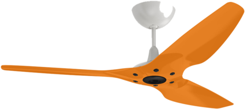 Big Ass Fans Haiku Home L-series (480x480)