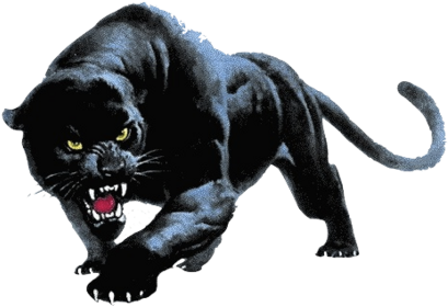 Fancy Panther Head Clipart Panther Png Transparent - Devon Meadows Football Club (425x292)