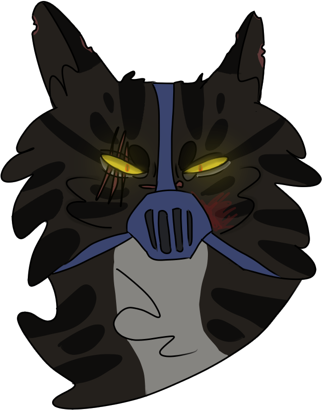 Drawing Raccoon Sock Graphic Freeuse Stock - Illustration (700x870)