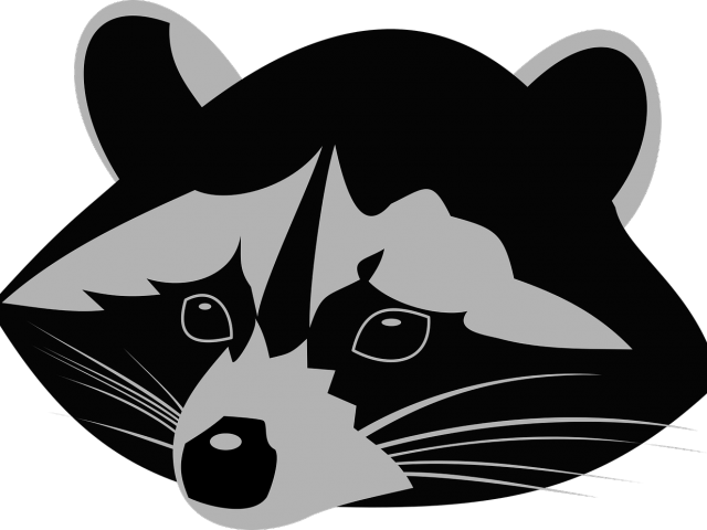 Racoon Clipart Animal Head - A&t Designs Set 4 Raccoons 3" Sew On Patches Racoon (640x480)