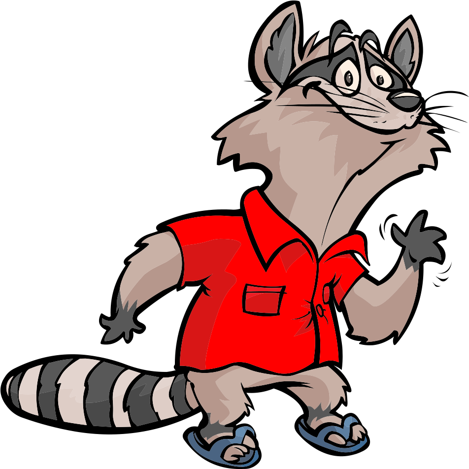 Racoon Clipart Vertebrate - Cartoon Raccoon Png (1000x1000)