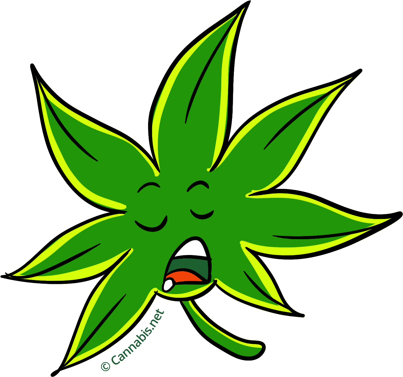 Green Crack Fatigue - Green Crack Fatigue (1320x1236)