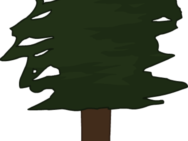 Pine Tree Clipart Red Wood Tree - Redwood Tree Clipart (640x480)