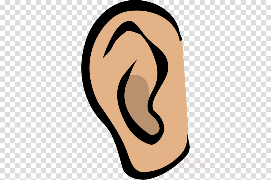 Ears Clipart Ear Clip Art - Clip Art (900x600)