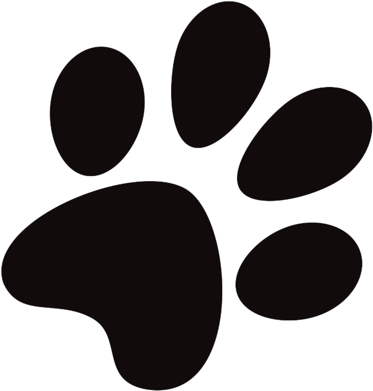 Christian Stewardship Leads Us To Find True Contentment - Icon (779x800)