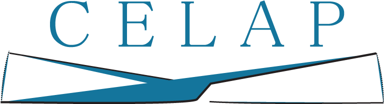 'asymmetric Wars, International Relations, And The - Celap (827x243)