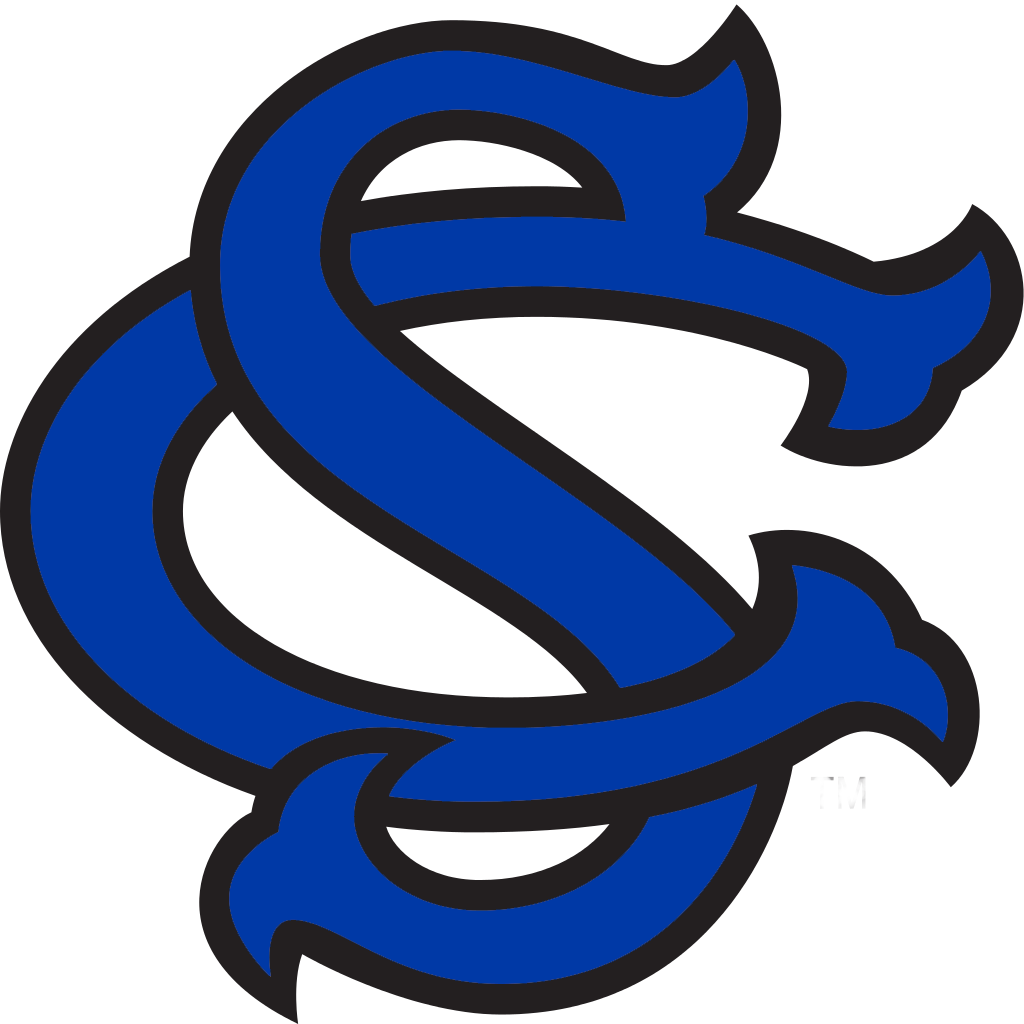 Gamecock Baseball (1024x1024)