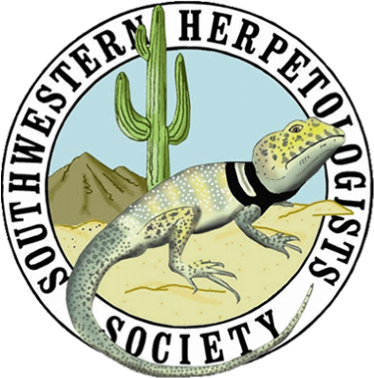 Swhs Insurance And Events Policies - Collared Lizard (750x758)