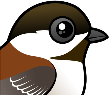 This Cute Little Chickadee Lives From Southern Alaska - Black Capped Chickadee Birdorable (440x440)