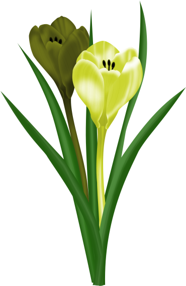 Spring Flowers Spring Flowers, Flower Art, Clip Art, - Flower (396x599)