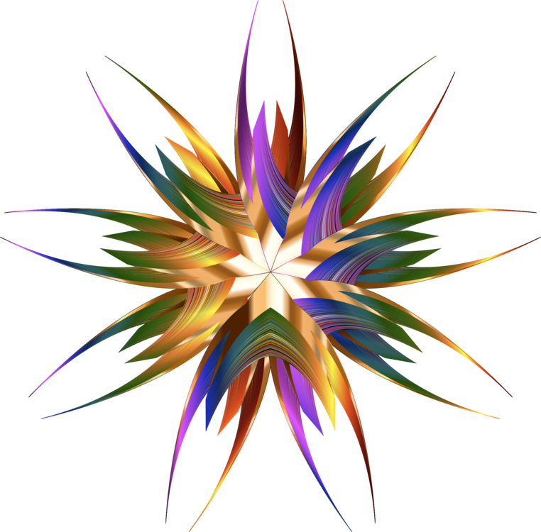 All Photo Png Clipart - Clip Art (762x750)