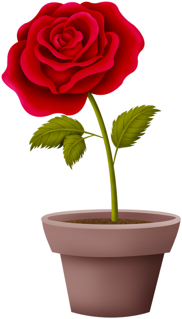 Image Du Blog Zezete2 - Floribunda (500x748)