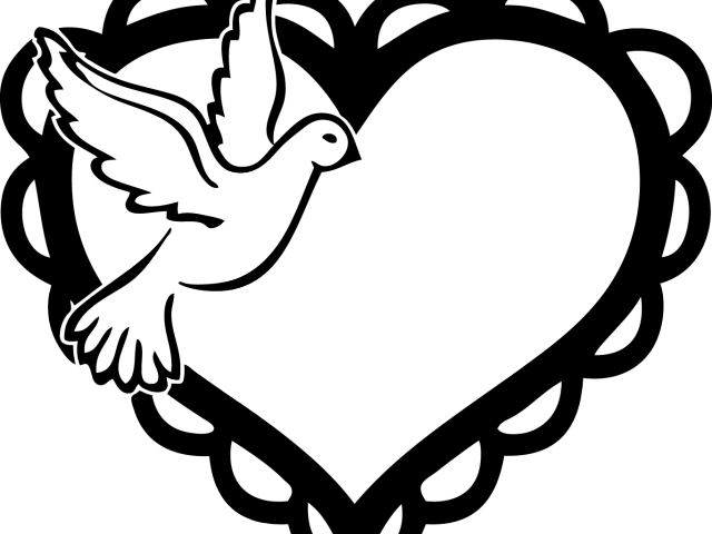 White Dove Clipart Roman Catholic - Clip Art (640x480)