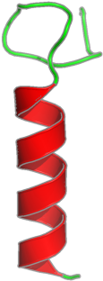 Ribbon Image For 1mot - Calligraphy (800x600)