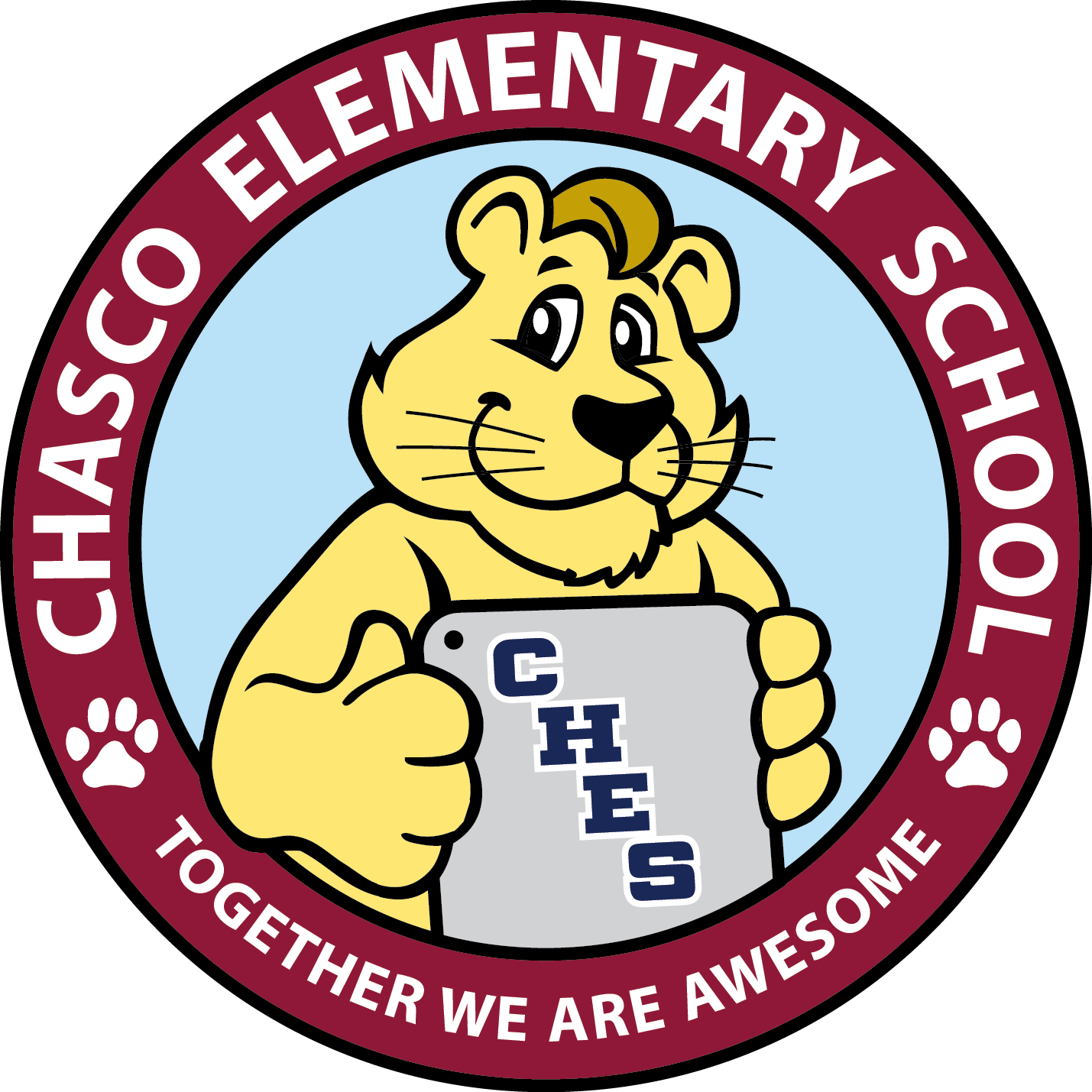Chasco Elementary - Shanti Vidya Niketan High School (1429x1429)