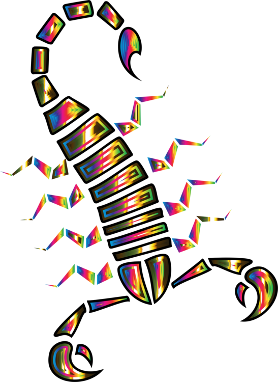 Scorpion Sting Arachnid Animal - Escorpion Abstracto (547x750)