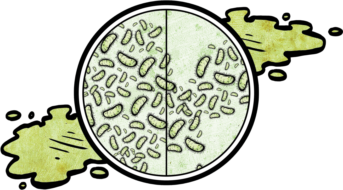 #2 Within One Week, A Mop Can Grow A Bacterial Population - Bacteria (1400x1082)