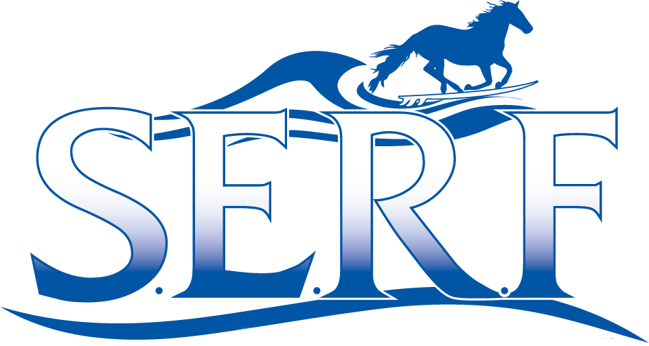 Stonewall Equine Rehab And Fitness - Bred To Win Horse Racing Bib (945x504)